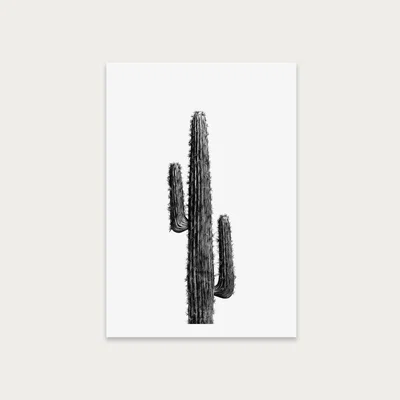 Bombinate.com Cactus Black and White 1 Art Print Unframed