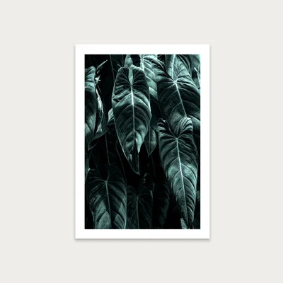 Bombinate.com The Jungle Art Print Unframed