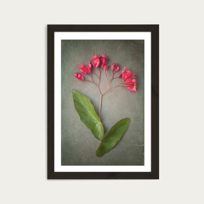 Bombinate.com Foraged 1 Art Print Black Frame