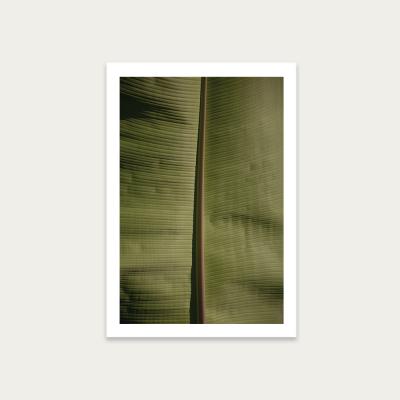 Bombinate.com Tropical Banana Art Print Unframed