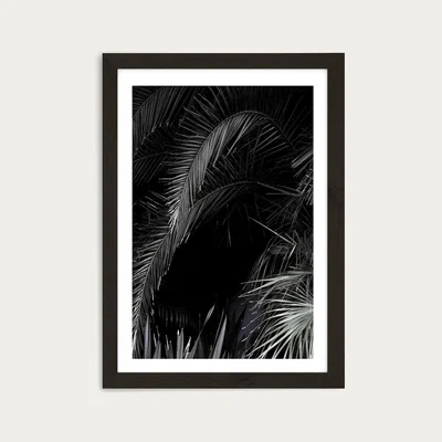 Bombinate.com Tropical Garden 1I5 Art Print Black Frame