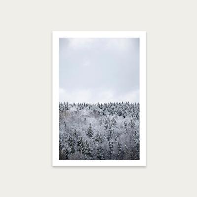 Bombinate.com White Winter Forest Art Print Unframed