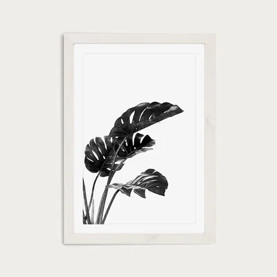 Bombinate.com Monstera Black and White 3 Art Print White Frame