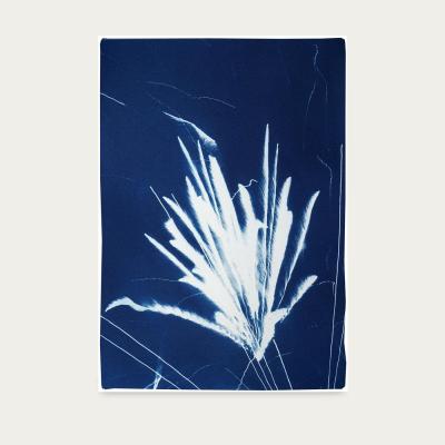 Bombinate.com Sparkling Firework Burst Handmade Cyanotype Art Print
