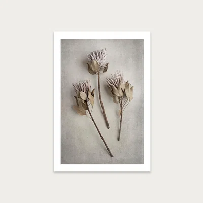 Bombinate.com Everlasting 4 Art Print Unframed