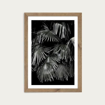 Bombinate.com Tropical Garden 5I5 Art Print Oak Frame