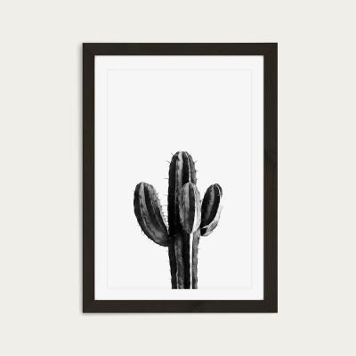 Bombinate.com Cactus Black and White 3 Art Print Black Frame