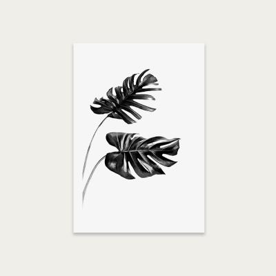 Bombinate.com Monstera Black and White 4 Art Print Unframed