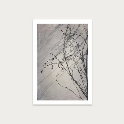 Bombinate.com Shadowplay 4 Art Print Unframed