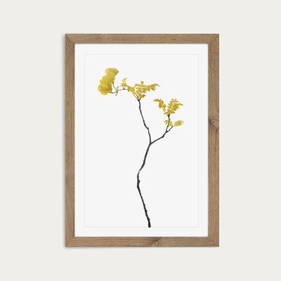 Bombinate.com Flower Minimal Black and Gold 1 Art Print Oak Frame