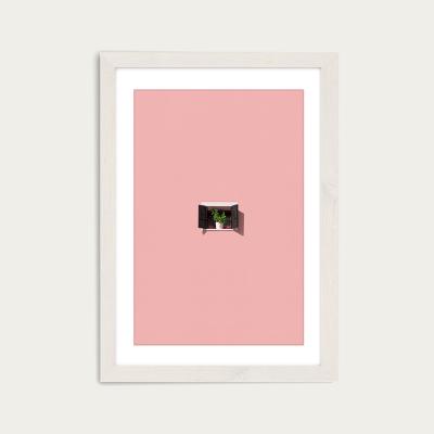 Bombinate.com Photosynthesis Art Print White Frame