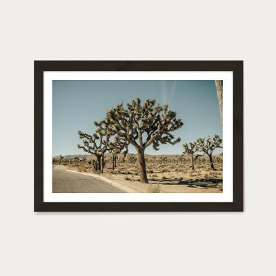 Bombinate.com Mojave Art Print Black Frame