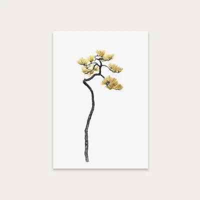Bombinate.com Bonsai Tree 5 Art Print Unframed