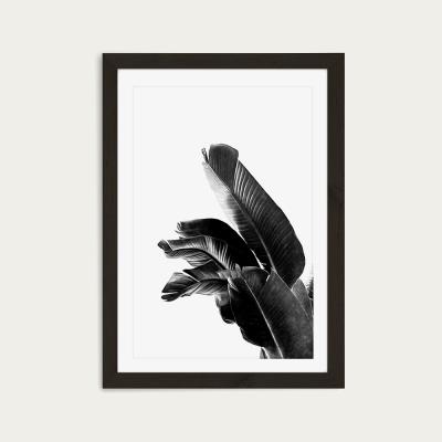 Bombinate.com Bird of Paradise Plant Black and White 1 Art Print Black Frame