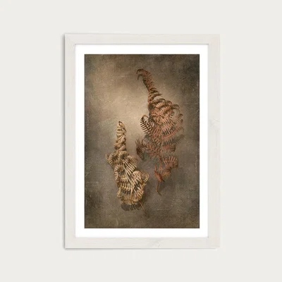 Bombinate.com Earthy Ferns 4 Art Print White Frame