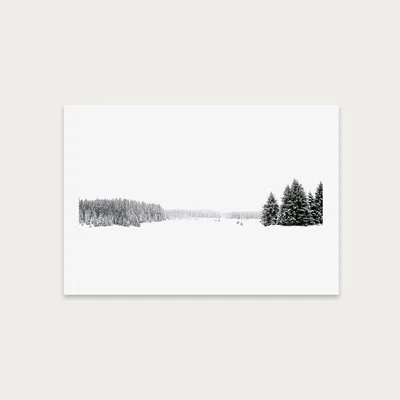 Bombinate.com White White Winter Art Print Unframed