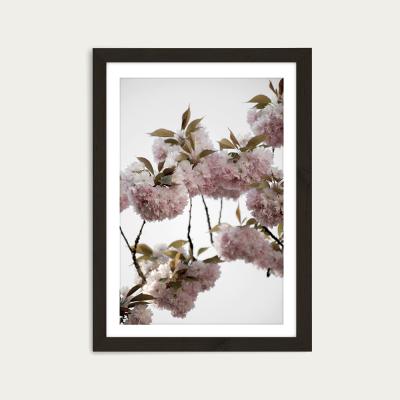 Bombinate.com Clouds of Cherry Flowers Art Print Black Frame