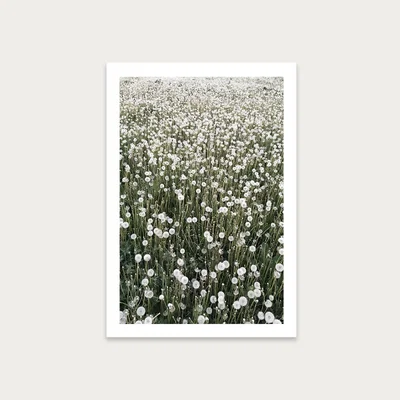 Bombinate.com Blowball Heaven Art Print Unframed