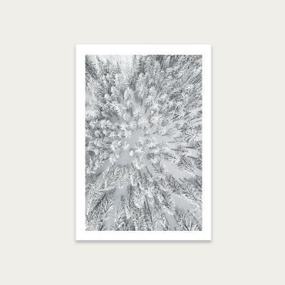 Bombinate.com Snowy Forests Art Print Unframed