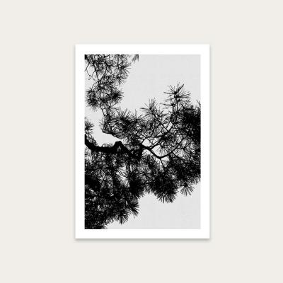 Bombinate.com Pine Tree Black & White Art Print Unframed