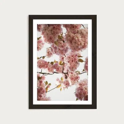 Bombinate.com Blush Spring Art Print Black Frame