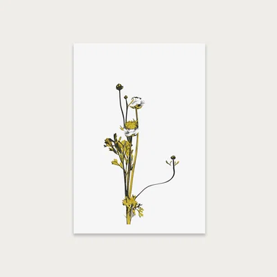 Bombinate.com Flower Minimal Black and Gold 8 Art Print Unframed