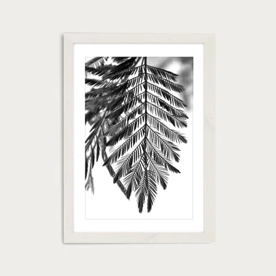 Bombinate.com Delicate and Beautiful Plants Art Print White Frame
