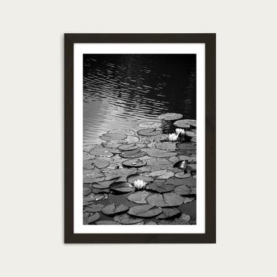 Bombinate.com Floating on The Water Art Print Black Frame