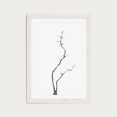 Bombinate.com Bonsai Tree 3 Art Print White Frame