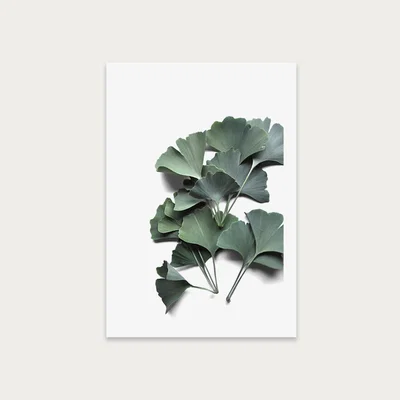 Bombinate.com Ginkgo Biloba Art Print Unframed