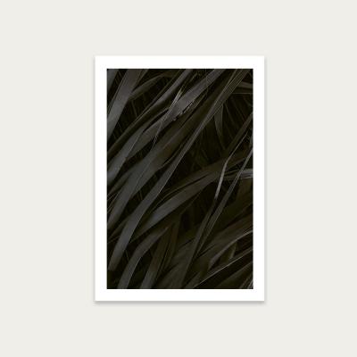 Bombinate.com Black Palms Art Print Unframed