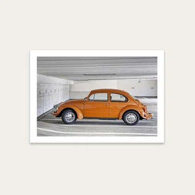 Bombinate.com Beetle Art Print Unframed