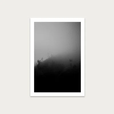 Bombinate.com Myst Trees Art Print Unframed
