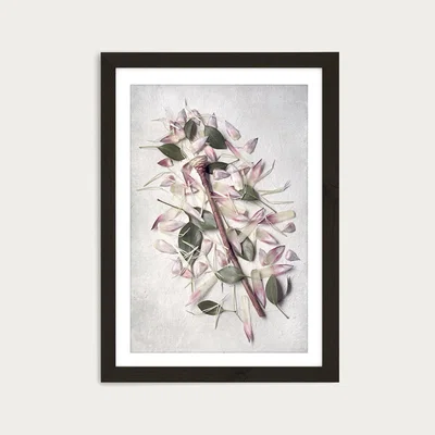 Bombinate.com Pale Proteas PT 3 Art Print Black Frame