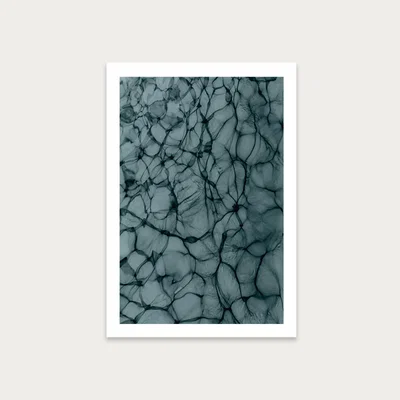 Bombinate.com Abstract Life Art Print Unframed