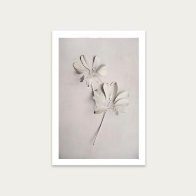 Bombinate.com Alabaster Forest 2 Art Print Unframed