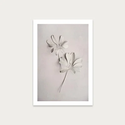 Bombinate.com Alabaster Forest 2 Art Print Unframed