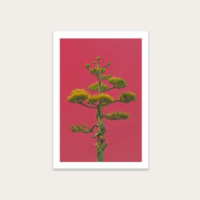 Bombinate.com Mexico Art Print Unframed