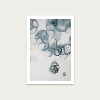 Bombinate.com Aquarelle Bubbles – Blue Art Print Unframed