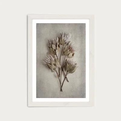 Bombinate.com Everlasting 3 Art Print White Frame