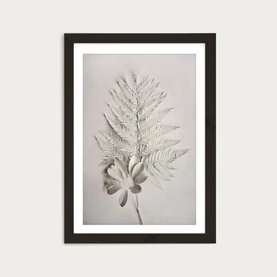 Bombinate.com Alabaster Forest 4 Art Print Black Frame