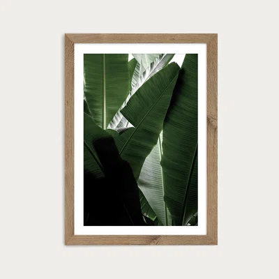 Bombinate.com Banana Beach Palm Boogy Art Print Oak Frame