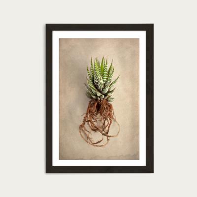 Bombinate.com Succulent Study 1 Art Print Black Frame
