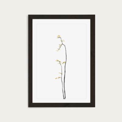 Bombinate.com Bonsai Tree 1 Art Print Black Frame