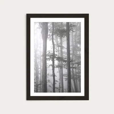 Bombinate.com Foggy Autumn Forest Art Print Black Frame