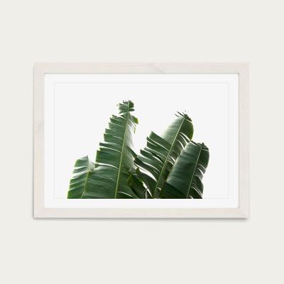 Bombinate.com Banana Leaves 1 Art Print White Frame