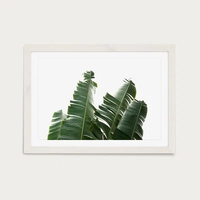 Bombinate.com Banana Leaves 1 Art Print White Frame