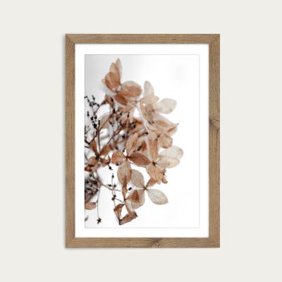 Bombinate.com Snowy Hydrangea Flowers 1 of 2 Hortensie Art Print Oak Frame