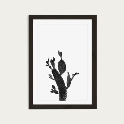Bombinate.com Cactus Black and White 2 Art Print Black Frame