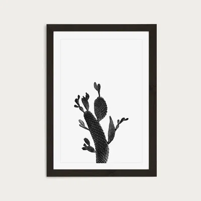 Bombinate.com Cactus Black and White 2 Art Print Black Frame